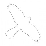 thumbnail of Vogelschutz Aufkleber für Fenster - 180x115 mm Folie selbstklebend