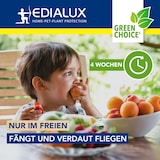 thumbnail of Edialux Armadilha Fácil E Reutilizável Para Moscas