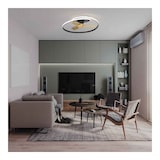 thumbnail of Ventilador DC  OCEAN negro madera LED  integrado CCT regulable Mantra