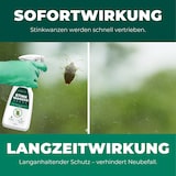 thumbnail of Stinkwanzenspray: 12 x 500 ml
