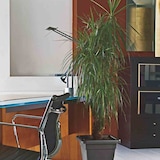 thumbnail of EURO3PLAST  Krea Kübel Krea quadratisch
