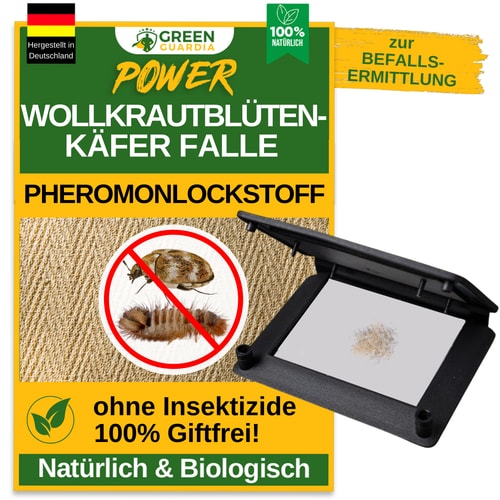 Wollkrautblütenkäfer Falle mit Pheromon-Lockstoff: 1