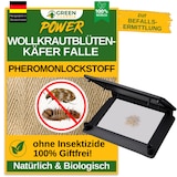 thumbnail of Wollkrautblütenkäfer Falle mit Pheromon-Lockstoff: 1