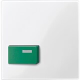 thumbnail of Merten Zentralplatte pws/gl 451519