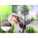 thumbnail of MAPE Zirbendecke 155 x 220 cm 100% Schafschurwolle mit Zirbenflocken & Baumwolle