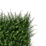 thumbnail of Bonerva | Jardín Vertical Artificial Halepensis | Pack 4 Piezas 50x50cm (1m²)| Planta artificial decoración oficina, hotel, restaurante | MAL1212