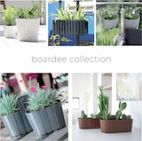 thumbnail of Prosperplast - BOARDEE BASIC 1,4L Topf - 14,4x14,4x13cm in Anthrazit farbe
