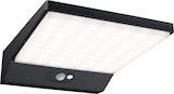 thumbnail of Paulmann LED Außenwandleuchte Ronea Dämmerungsgesteuerter Bewegungsmelder (IR)  IP44  180x250mm 3000K 10,5W 680lm 230V  Dunkelgrau Aluminium 94332