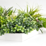 thumbnail of CUADRO VEGETAL ARTIFICIAL Naturing Monde ALLEGRA - 50 x 50 cm