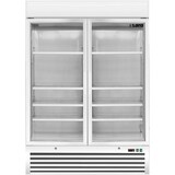 thumbnail of Tiefkühlschrank mit 2 Glastüren, Modell D 920