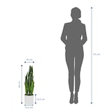 thumbnail of Planta artificial / árbol artificial SANSEVIERIA plástico verde hjh OFFICE