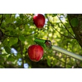 thumbnail of RIBIMEX - PRESCF5 - Ramasse-fruits en métal - 1 m, Cueille-fruits / sécateur / élagueur