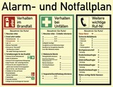 thumbnail of Alarm- und Notfallplan ISO 7010, Kunststoff, nachleuchtend, 160-mcd, 620x480 mm