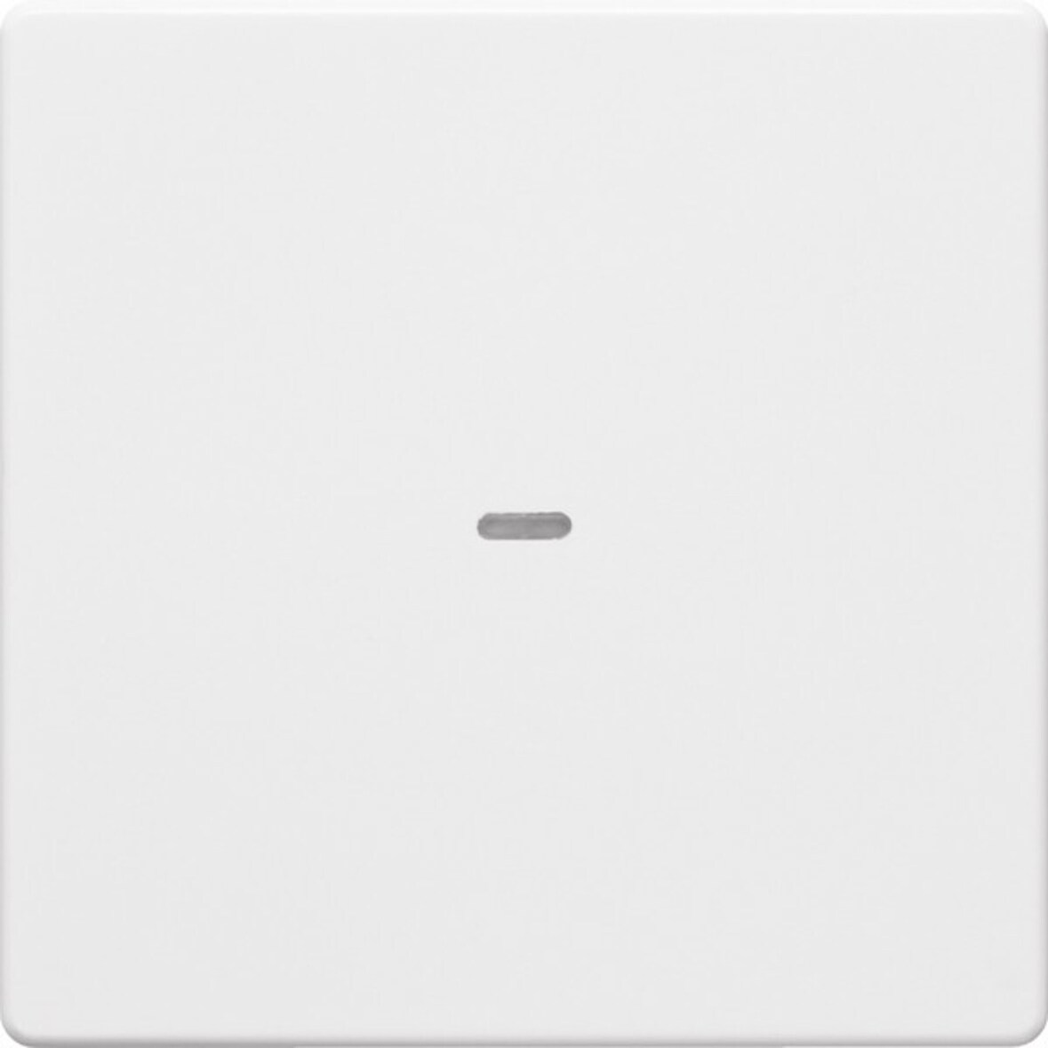 Berker Tast-Abdeckung 1f. pws 80960229