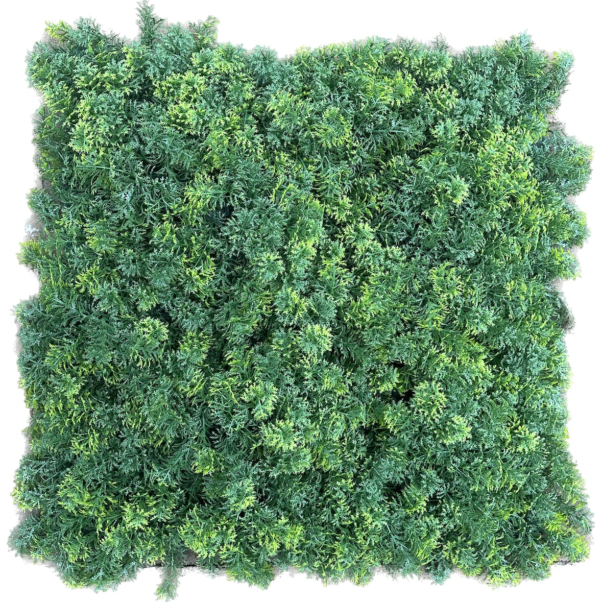 OLSO | Bosque verde de pared de musgo premium | Catering montaje en pared de musgo artificial | Práctica de patio de pared de planta colgante de pared
