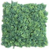 thumbnail of OLSO | Bosque verde de pared de musgo premium | Catering montaje en pared de musgo artificial | Práctica de patio de pared de planta colgante de pared
