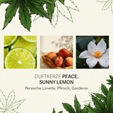 thumbnail of Peace. Sunny Lemon: C.B.D. Duftkerze, Aromakerze mit Sojawachs, Ø9,5 cm, 350g, Glas