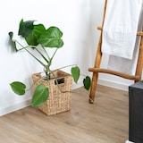 thumbnail of HMF Papierkorb Büro, Aufbewahrungskorb geflochten aus Wasserhyazinthe, Eckig, 25 x 25 x 30 cm