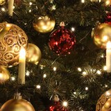 thumbnail of ROTPFEIL für innen  LED-Lichterkette 20er innen Toplampen klar 12 V/0,1 W