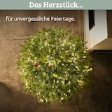 thumbnail of DELUKE® Weihnachtsbaum künstlich 160cm [Inkl. Lichterkette] Nordfichte -  Spritzguss | Tannenbaum naturgetreu inkl. Baumständer
