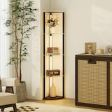 thumbnail of HOMCOM Lampada da Terra con 5 Ripiani, Luce LED e 3 Luminosità Nero