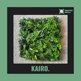 thumbnail of KAIRO | Premium Dschungel Farn Pflanzenwand 50x50cm |Gastronomie Wandverkleidung | Kunstpflanzen Wandmontage Indoor| Regenwald Wandpaneele Pflanzen