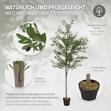 thumbnail of ML-Design – Künstlicher Olivenbaum – 210 cm | mit Früchten, Naturholzstamm, im Topf, Kunstpflanze Indoor & Outdoor