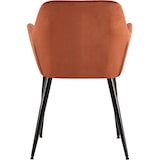 thumbnail of Juego de 4 sillas de salón Emia en terciopelo Marrón/Terciopelo