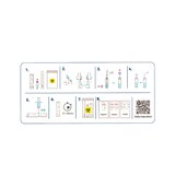 thumbnail of 50x WIZ Biotech SARS-CoV-2 Schnelltest für Laien (nasal)
