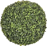 thumbnail of Atmosphera - Buchsbaumkugel, Durchmesser 36 cm