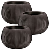 thumbnail of WellHome - Set van 3 Bloempotten 0,75L Beton Schaal Ø14,4 cm/u Zwart Cement Kleur