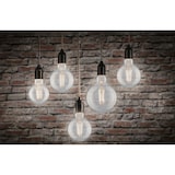 thumbnail of Paulmann Filament 230V LED Globe G95 E271055lm 9W 2700K dimmbar Klar 28970