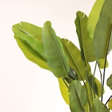 thumbnail of Pianta artificiale Ravenala 180cm | Naturing Monde - Interno - Tronco naturale