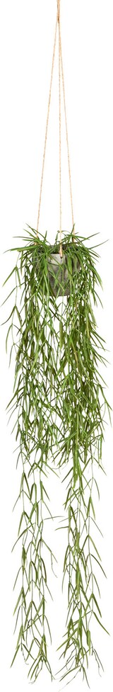 thumbnail of CREATIV green künstliche Pflanze Tillandsia aeranthos, ca 90cm grün, im Hängetopf 9x9cm, 2er Set