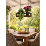 thumbnail of Prateleira FLOWERS suspensa no teto CASTANHO comprimento 55 cm com correntes para flores suporte de vidro vertical para jardim bar cozinha por Yelloo
