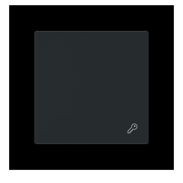 Busch-Jaeger Wippe geschlossen m. Symb. 2520 TR-45M 2CKA001751A3352