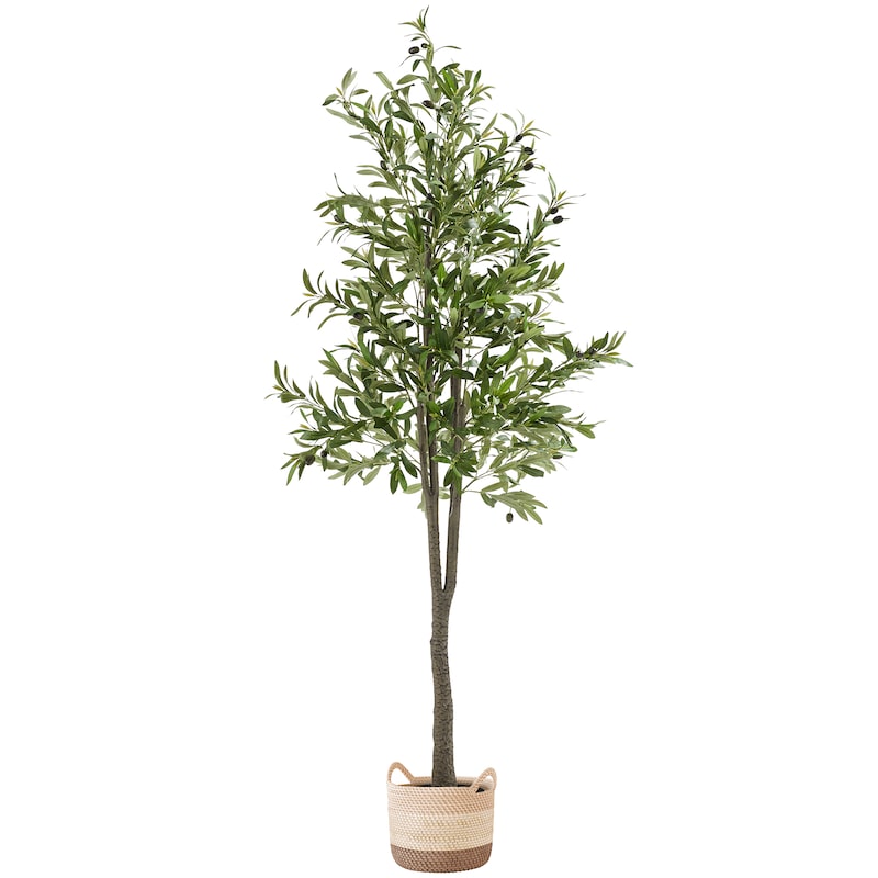 dnger fr smaragd thuja Purgrn Heckendnger 1 kg