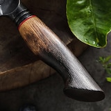 thumbnail of XinZuo X06 Mo Series - Groentemes