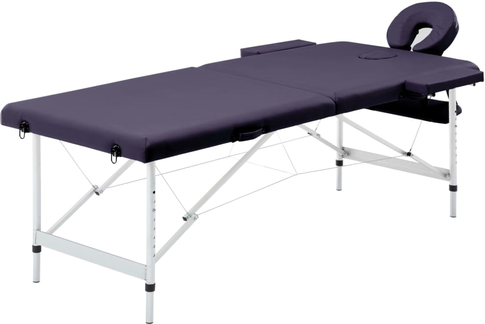 Helloshop26 - Klappbare Massageliege Massagebett Bank Sofa tragbare professionelle Kosmetiktherapie Shiatsu Reiki 2 Zonen Aluminium 02_0001810