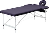 thumbnail of Helloshop26 - Klappbare Massageliege Massagebett Bank Sofa tragbare professionelle Kosmetiktherapie Shiatsu Reiki 2 Zonen Aluminium 02_0001810