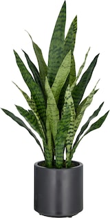 thumbnail of CREATIV green künstliche Pflanze Sansevieria zeylanica im anthrazitfarbenen Kunststofftopf mit Erde, 90cm
