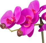 thumbnail of CREATIV green künstliche Pflanze Phalaenopsis, 33 cm, "Real Touch", 6er Set