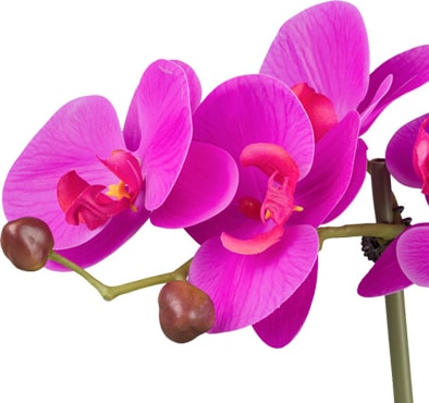 mobile_image