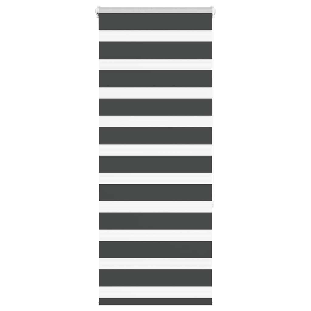 vidaXL Doppelrollo Schwarz 65x150 cm Stoffbreite 60,9 cm Polyester