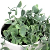 thumbnail of Planta artificial EUCALYPTUS CLIMB Verde / blanco hjh OFFICE