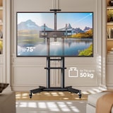 thumbnail of ONKRON TV Ständer rollbar für 32-75 Zoll TVs bis zu 60 kg, höhenverstellbar, VESA 200x200 bis 600x400, mobiler TV Ständer mit Rollen, Schwarz TS1571-B