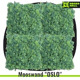 thumbnail of 1 metro cuadrado de pared de musgo verde artificial premium "OSLO" | plantas montaje en pared imagen de musgo hotel  en interiores y exteriores