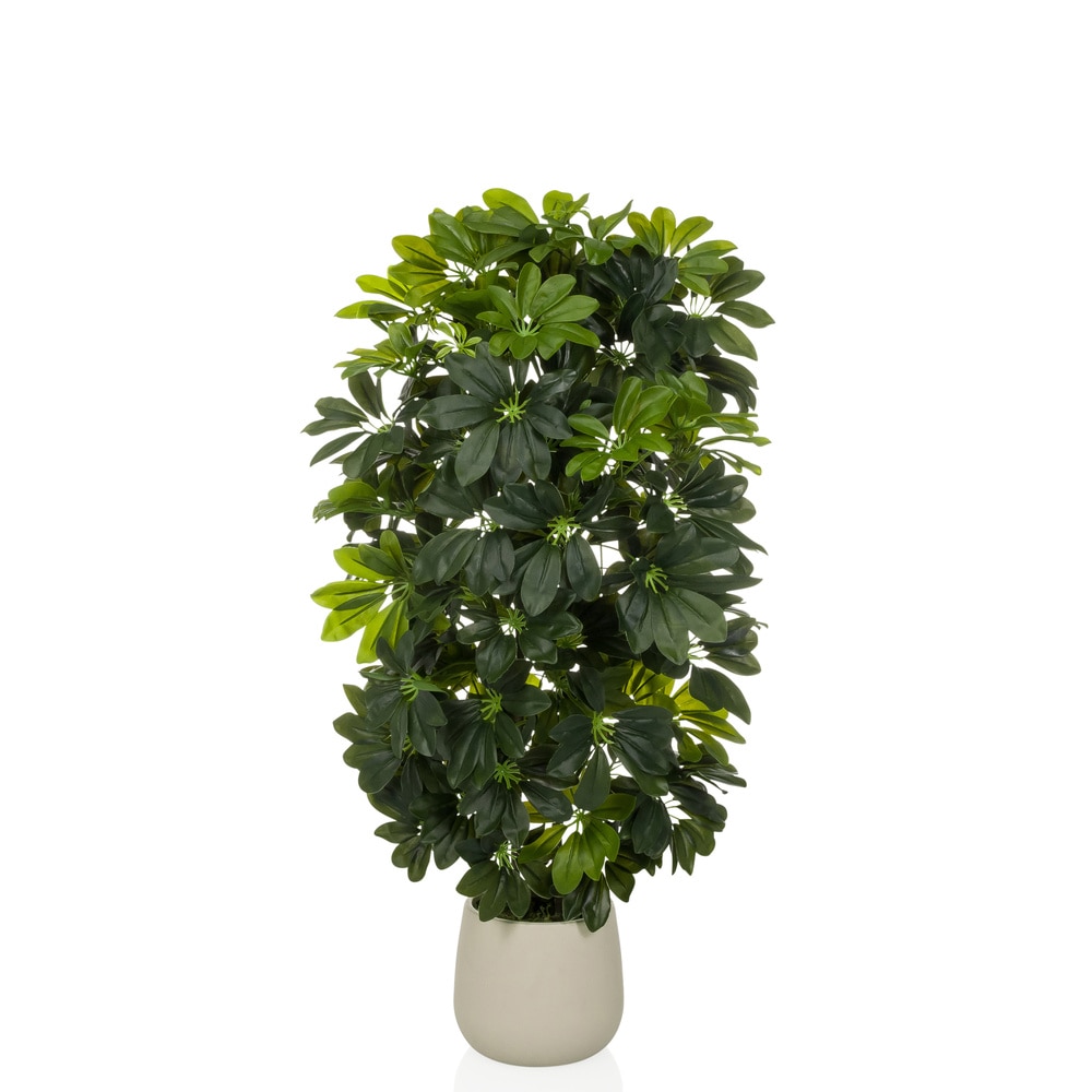 Pianta artificiale / Albero artificiale SCHEFFLERA 2 rami 110 cm plastica verde hjh OFFICE