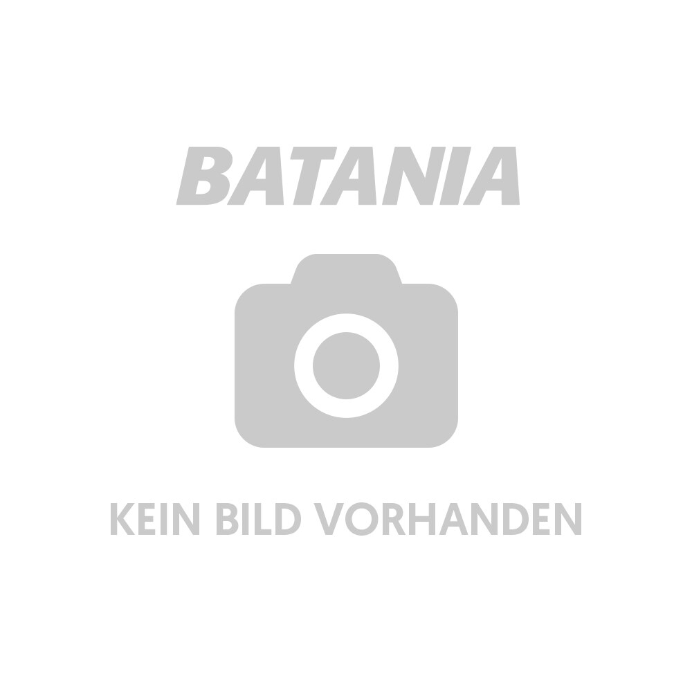 Gerbera Variante: Weiß
