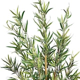 thumbnail of Atmosphera - Kunstbambus in Topf, Höhe 120 cm